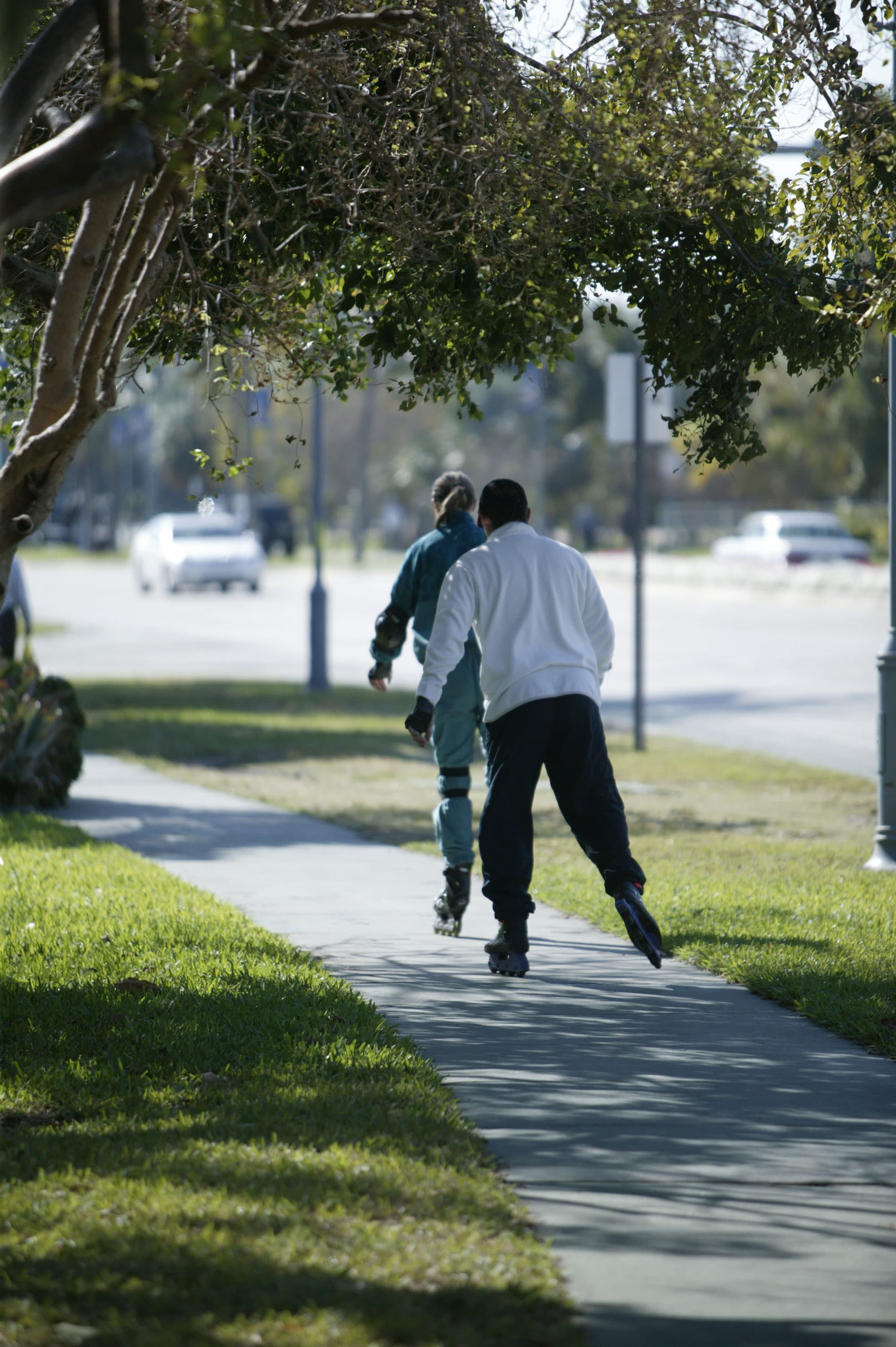 Parks, Culture & Dining